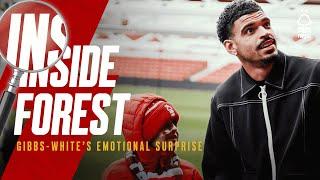 Inside Forest  | Gibbs-White Surprises Inspirational Fan 