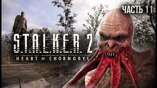 S.T.A.L.K.E.R. 2 Heart of Chornobyl Прохождение # 11 Гиблая чаща