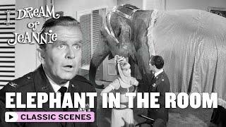 The Elephant In Tony's Room | I Dream Of Jeannie