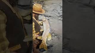 Caught Amazing Northern Pike#reddeadonline #shorts #fishing #stay #gaming #share