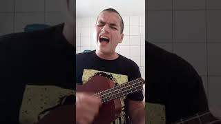 A hard day's night - The Beatles #ukulele