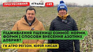  Юрій Лисак про підживлення озимої пшениці: коли, скільки і чим? Як досягти ефективної врожайності?