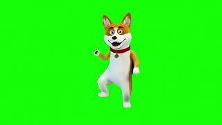 Dancing Dog Green Screen 4k ...........