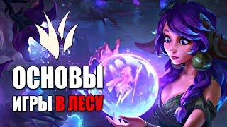 Основы игры в лесу в игре League of Legends