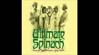 The Underground Cinema (Ultimate Spinach) - "Mind Flowers" - Live 1967 at 'The Unicorn,' Boston, MA