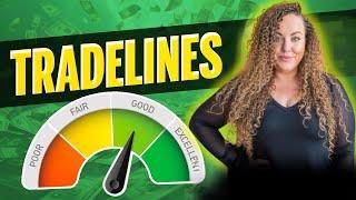 My Favorite Credit Hack Exposed: Tradelines part 1