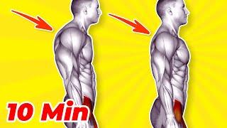  FIX YOUR POSTURE  Back Exercises for Strength and Alignment!