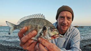 BEACH FISHING FOR BREAM | CATCH & COOK | FISH TACOS