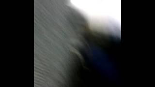 лезбианки в школе