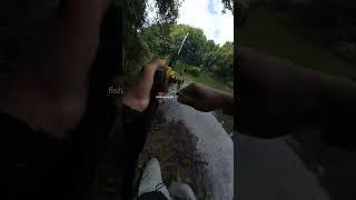 THIS IS THE SENSATION OF THE EXPLOSION OF A BIG FISH STRIKE THAT MAKES ANGLERS ADDICTED  #fishing