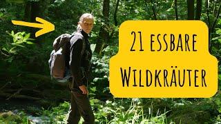 Kräuterwanderung: 21 Essbare Wildkräuter in Wald und Wiese