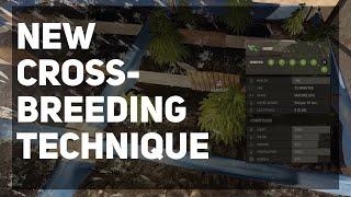 *NEW* Quick Cross-Breeding Technique | Rust