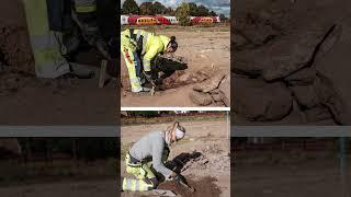 Unusual Iron Age Female Grave Found in Pryssgården, Sweden