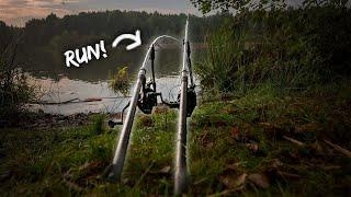 Fangrausch am Weiher Karpfenangeln im Herbst