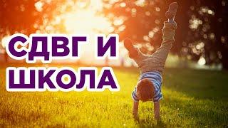 СДВГ и школа. Как учиться в школе гиперактивным детям? Обучение детей с СДВГ - советы соц. педагога