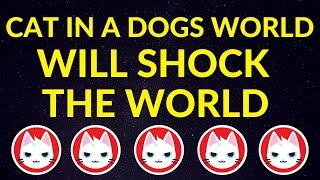 cat in a dogs world (MEW) Will Shock the World…Here’s Why! | Solana Meme Coin Price Prediction