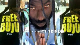 NEW  Sade & BUJU BANTON  A FREE BUJU TRIBUTE   Conquerorthefirst Tribute  REMIX HD VIDEO 