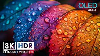 Best of 8K Video - 8K HDR ULTRA HD 120 fps - Dolby Vision