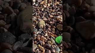 Green sea glass. #beach #green #SeaGlass