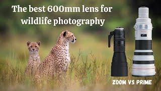Tamron 150-600mm G2 zoom lens vs Canon 600mm f/4 prime lens for wildlife photography