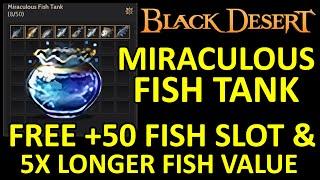 Fish Tank Guide, Shim Cheong's Miraculous Fish Tank How to Get +50 Fish Slot Black Desert Online BDO