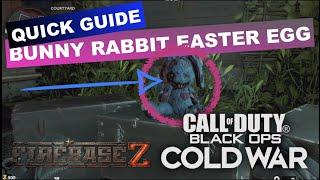 How to complete the Bunny Easter egg in COD Cold War Firebase Z