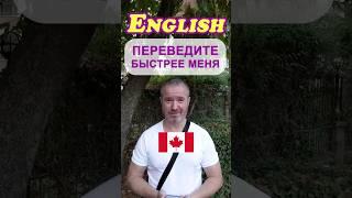  Круговой тренажёр 73: Освойте английский за несколько уроков 