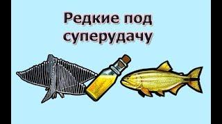 Русская Рыбалка 3.99 (Russian Fishing) Ловим редкости под суперудачу #2