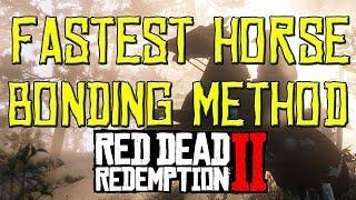 FASTEST Way To HORSE Bonding Guide: Red Dead Redemption 2