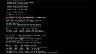 Copy your USB Flash Drive to SSD/mSATA Using Hive OS: Use only your rig, no other Computer needed.