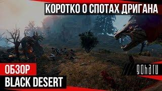 Black Desert - Коротко о спотах Дригана