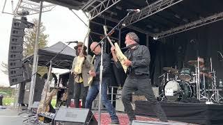 Mike Campbell & The Dirty Knobs - Sugar LIVE at Happy Face Music Festival - 5.28.2022