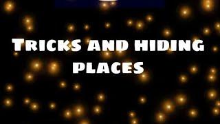 top 4 bugs and hiding place