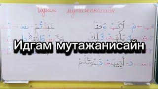 Идгам мутажанисайн