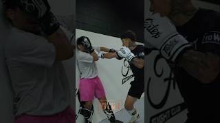 Hard Kickboxing Sparring ️ #boxing #mma #muaythai #kickboxing #bjj #fightcamp #sparring