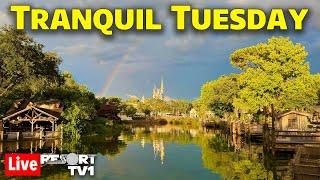 Live: A Stormy but Tranquil Tuesday at Magic Kingdom  - Walt Disney World Live Stream - 6-10-25