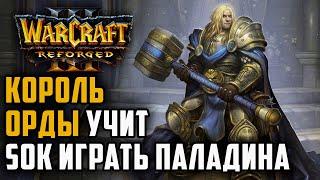 Король Орды учит Sok играть Паладина: Warcraft 3 Reforged