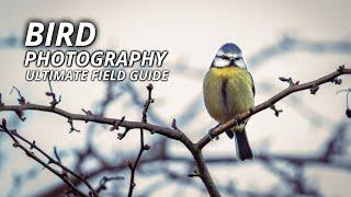 Bird Photography Basics - The Fastest Methods I Used to Begin Bird Photography. Available in 4K