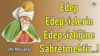 Mevlana Sözleri İlaç Gibi Sözler  Edep  Edepsizlerin  Edepsizliğine Sabretmektir...!