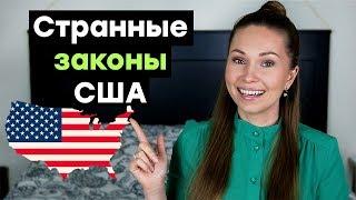 САМЫЕ СТРАННЫЕ И НЕЛЕПЫЕ ЗАКОНЫ США!