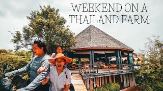 Escape to RAI RUEN ROM a weekend at an ORGANIC FARM in Chiang Rai