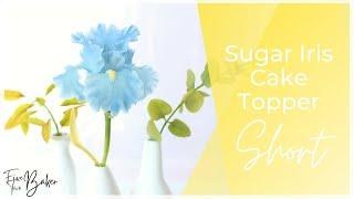 Sugar Iris Cake Topper ⎸Gumpaste Bearded Iris ⎸How to Make Sugar Flowers ⎸#YoutubeShorts ⎸#Shorts