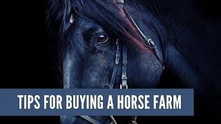 Tips For Buying A Horse Farm