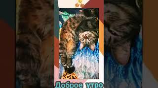 Доброе утро по кошачьи | Кот Хаус проснулся!