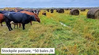 Bale Grazing Presentation  - Jeremy Sweeten