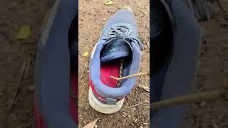 Snake in the shoe! Watch this scary moment #snake #reels #snakesaver #shortvideo