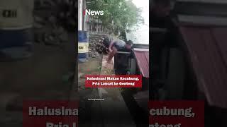 Halusinasi Makan Kecubung, Pria Loncat ke Genteng #shorts