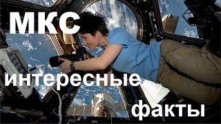 Всё самое интересное об МКС | Международная Космическая станция