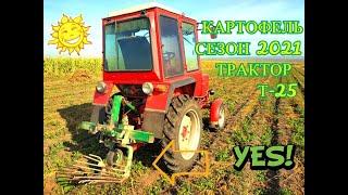 КОПАЕМ КАРТОФЕЛЬ ТРАКТОРОМ Т-25,СЕЗОН 2021/DIGGING POTATOES WITH T-25 TRACTOR, SEASON 2021