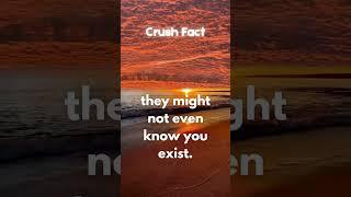 Fact #13